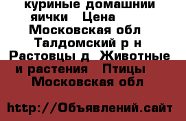 куриные домашнии яички › Цена ­ 80 - Московская обл., Талдомский р-н, Растовцы д. Животные и растения » Птицы   . Московская обл.